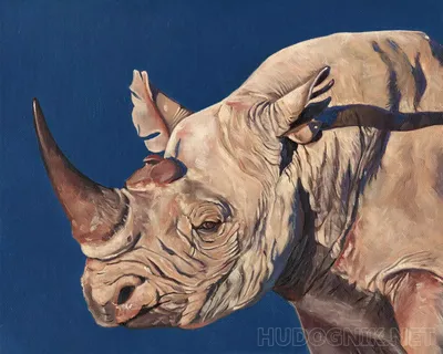 В Непале нашли пропавшего после сообщений о нападении носорога туриста из  Мурманской области | 29.04.2023 | Мурманск - БезФормата