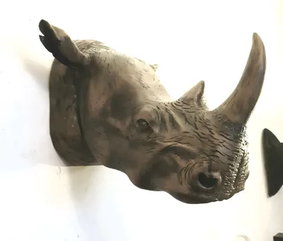 Редкий белый носорог родился в американском зоопарке: Звери: Из жизни:  Lenta.ru