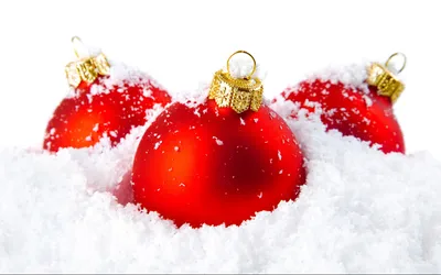 Рождество и Новый год на белом фоне, для веток с конусами и украшениями в  снежных хлопьях, место для текста Новый год Стоковое Изображение -  изображение насчитывающей праздник, купель: 161618157