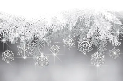 Рождественские и новогодние украшения с хвойными ветвями на белом фоне  стоковое фото ©chiffa 177435316