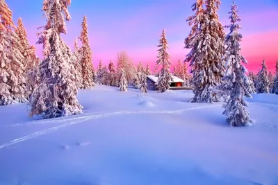 Красивые зимние новогодние пейзажи (67 фото) - 67 фото