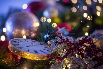 Фото Новогодний фон с рождественскими елками на фоне разноцветного боке