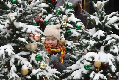 13 самых уродливых новогодних елок » BigPicture.ru