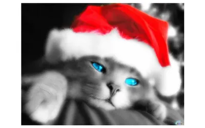 Обои на телефон: Животные, Рождество (Christmas Xmas), Новый Год (New  Year), Кошки (Коты Котики), 6224 скачать картинку бесплатно.