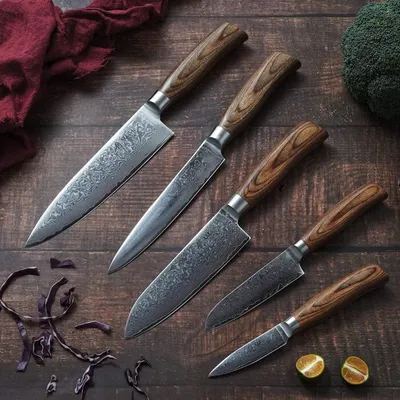 Набор из 5 дамасских ножей с магнитной доской для ножей из дерева акации  Wakoli Edib Pro