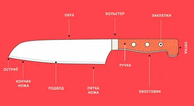 Метательные ножи: их особенности и тонкости выбора — Wellgo