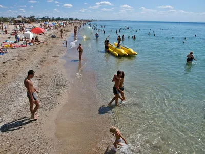 Нудистский Пляж: последние новости на сегодня, самые свежие сведения | НГС  - новости Новосибирска