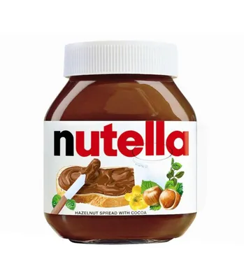 Nutella Biscuits Ferrero 41.4g – Made In Eatalia