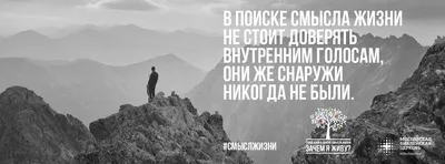 Бог с теми, кто живет по-божьему» Армейский священник — о боях в Донбассе,  отпущении грехов и смысле заповеди «Не убий»: Украина: Бывший СССР: Lenta.ru