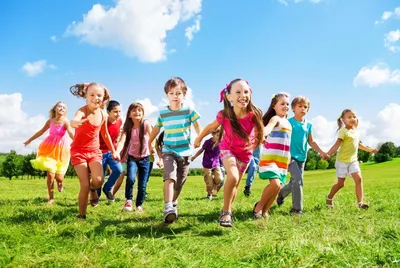 Папка передвижка «Лето» — Все для детского сада | Детский сад, Папка, Лето