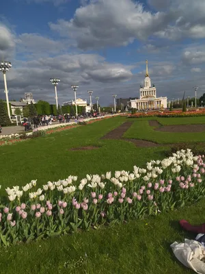 Правила поведения детей во время летних каникул: что нужно знать