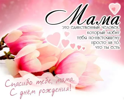 Если мамы дома нет... | Стихи давно забытого поэта | ВКонтакте