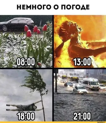 Москвичам рассказали о погоде в праздничный день - Мослента