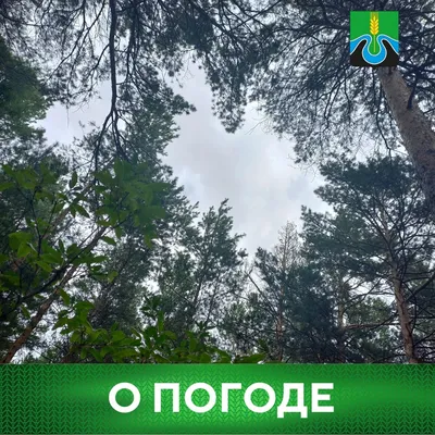 Как одеваться по погоде. Фото лучших образов