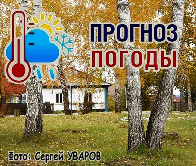 Похолодание и гололедица: синоптики рассказали о погоде в Москве на выходных