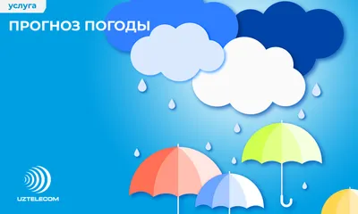 Неустойчивая погода. Синоптики рассказали о погоде на неделе , Новости  Узбекистана