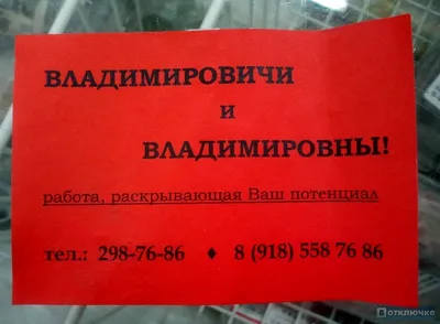 Фехтование, сквош, стрельба из лука: какие необычные виды спорта есть в  Белгороде?. Белгородские новости