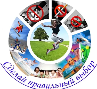 Так лечит или калечит? Специалисты опять спорят о влиянии большого спорта  на здоровье — Новые Известия - новости России и мира сегодня
