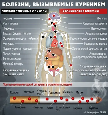 Вред курения. Наглядные материалы