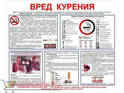 Плакат «О вреде курения» (агитационные плакаты) цена 660 рублей купить в  Краснодаре - интернет-магазин Проверка23