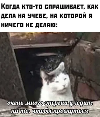 здравоохранение / смешные картинки и другие приколы: комиксы, гиф анимация,  видео, лучший интеллектуальный юмор.