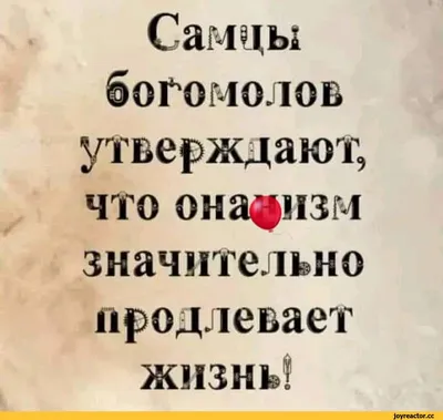 Картинка с буквами / здоровье :: богомолы :: шутка :: биология :: юмор (юмор  в картинках) / смешные картинки и другие приколы: комиксы, гиф анимация,  видео, лучший интеллектуальный юмор.