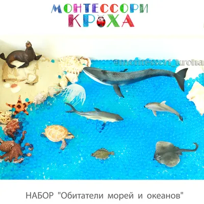 Плакат \"Обитатели морей и океанов\" купить по выгодной цене * Обучающие  плакаты для школ и детских садов * Умные детки