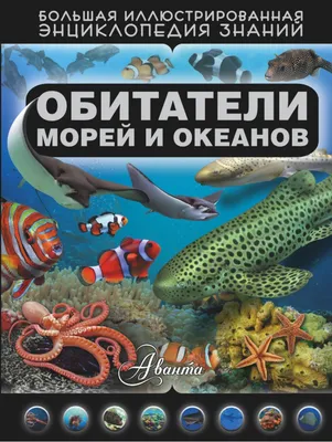 Лексическая тема: «Животный мир морей, океанов | ВКонтакте