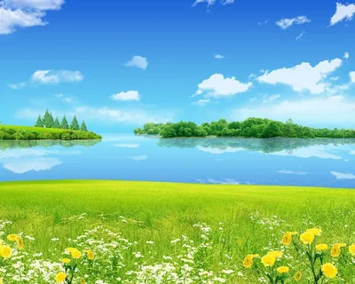 Картинки лето, летний, пейзаж, природа, луг, лужайка, берег, река, озеро,  вода, залив, лес, лесной, трава, цветы, цветок, солнце, солнечный, свет -  обои 1280x1024, картинка №349876