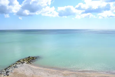 Нефтяное пятно в Одессе на пляже Отрада - в сети показали видео опасного  явления - 24 Канал