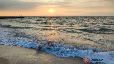 Черное море: Море в Одессе зацвело « Фото | Мобильная версия | Цензор.НЕТ