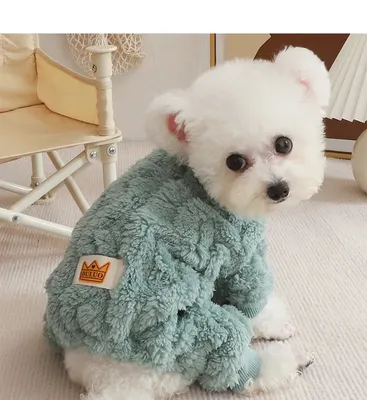 Одежда теплый комбинезон для собак Rossi, Зимняя одежда для мелких собак,  той, чихуа, йорк, цвергпинчер (ID#647691354), цена: 929 ₴, купить на Prom.ua
