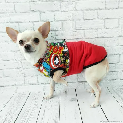Одежда для собак мелких, средних пород/ куртка/жилетка/толстовка для щенков  и собак - купить с доставкой по выгодным ценам в интернет-магазине OZON  (560955608)