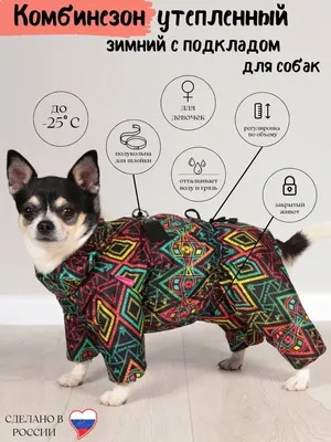 Теплая одежда для собак, свитер для домашних животных, мягкая женская одежда  для осени и зимы, Одежда для маленьких собак, чихуахуа | AliExpress