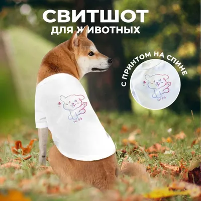 Толстовка в виде фрукта для собак и кошек, с капюшоном, одежда для животных  купить по низким ценам в интернет-магазине Uzum (558876)