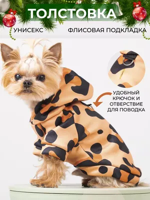 Куртка для собак \"Супергерои\". Зимняя одежда для собак в интернет-магазине  Ярмарка Мастеров по цене 3097 ₽ – JFJXCBY | Одежда для питомцев, Москва -  доставка по России