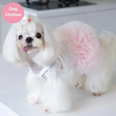 Футболка для собак и кошек с рисунком, одежда для собак мелких пород -  купить с доставкой по выгодным ценам в интернет-магазине OZON (313956120)