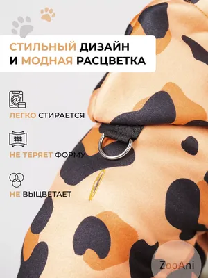 Одежда для собак/желтый - купить с доставкой по выгодным ценам в  интернет-магазине OZON (1132717784)