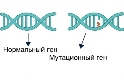 Как дальтоники видят наш мир - Факты о дальтонизме | Ralzo | Дзен