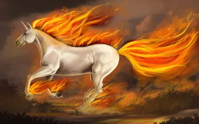 Wallpaper art Фотообои Раздел art Номер 168 - fotooboi лошадь, конь,  огненный, прозрачный - заказать