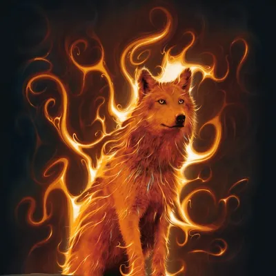 Картинки огненных волков фотографии