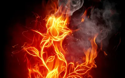 иллюстрация пламени, границы и рамки пламя огня, фон пламени s,  компьютерные обои, сжигание, обои для рабочего стола png | PNGWing