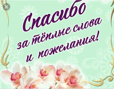 Огромное спасибо всем,кто помогает,кто даёт нам шанс на  жизнь,бесконечная,безмерная благодарность от счастливых хвостиков,спасибо  за подарки | Кот и Пёс -Территория Надежды | Дзен