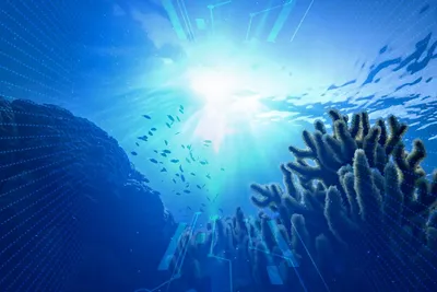 Исследования Мирового океана как шаг на пути к развитию человечества -  Российская газета