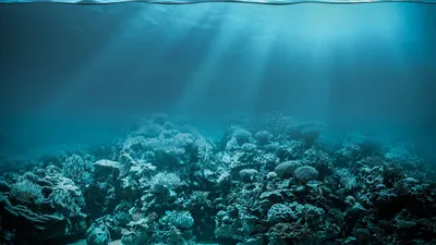 National Geographic признал существование пятого океана - РИА Новости,  09.06.2021
