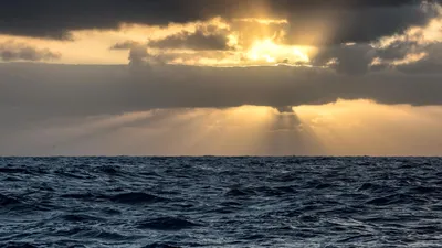 Температура Мирового океана установила новый рекорд - РИА Новости,  05.08.2023