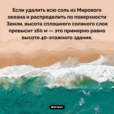 Загрязнение вод Мирового океана»