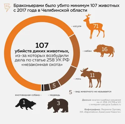 Правительство считает принятие проекта закона «О запрете охоты на некоторые  виды животных в КР» нецелесообразным » ЭкоМиР - Экологический Мониторинг и  Расследования