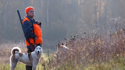 Это каменный век: зоозащитники напомнили, почему охота на животных – не  спорт - Pets