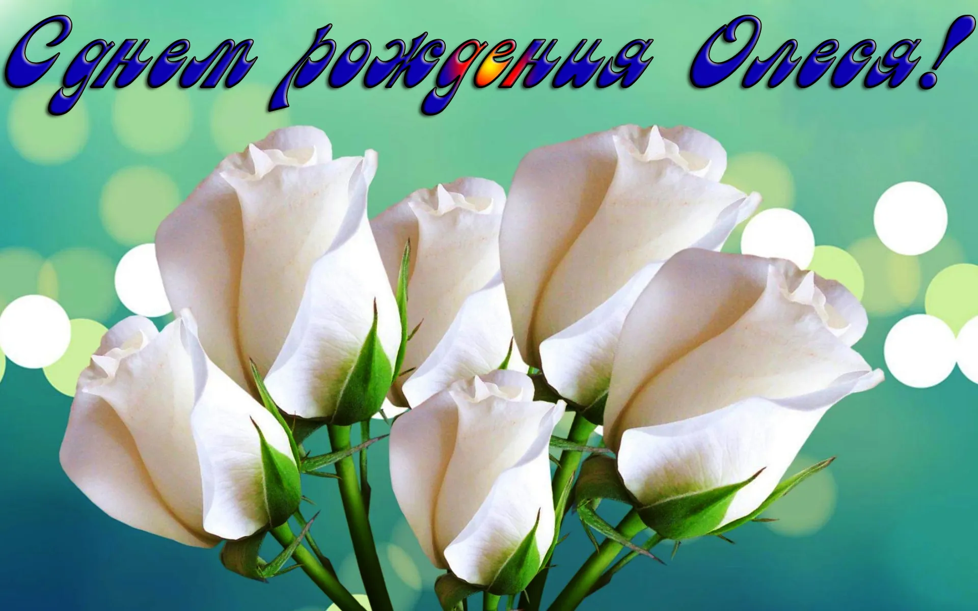 Олеся Красивые Картинки